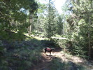 photo thumbnail #3