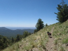 photo thumbnail #4