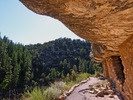 photo thumbnail #12