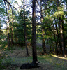 photo thumbnail #1