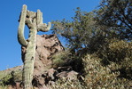 photo thumbnail #4