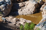 photo thumbnail #7