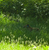 photo thumbnail #10