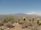 photo thumbnail #2