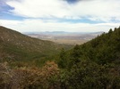 photo thumbnail #6
