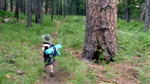 photo thumbnail #6
