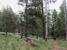 photo thumbnail #8