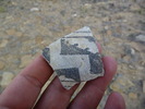 photo thumbnail #7