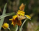 photo thumbnail #7