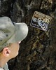 photo thumbnail #15