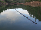 photo thumbnail #8