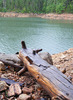 photo thumbnail #12