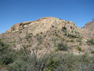 photo thumbnail #5