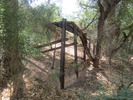 photo thumbnail #11