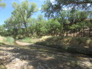 photo thumbnail #12