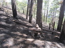 photo thumbnail #3