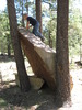 photo thumbnail #6