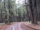 photo thumbnail #4