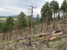 photo thumbnail #8