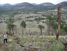 photo thumbnail #9