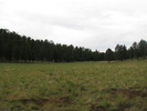 photo thumbnail #15