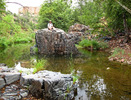 photo thumbnail #7