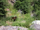 photo thumbnail #7