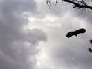 photo thumbnail #8