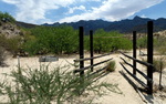 photo thumbnail #2