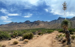 photo thumbnail #7