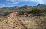 photo thumbnail #9