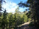 photo thumbnail #8