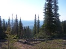 photo thumbnail #12