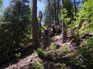 photo thumbnail #1