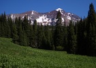 photo thumbnail #5