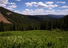 photo thumbnail #11