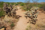 photo thumbnail #9