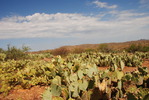 photo thumbnail #11