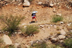 photo thumbnail #12