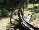 photo thumbnail #6