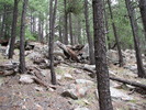 photo thumbnail #9