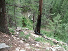 photo thumbnail #11