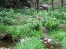 photo thumbnail #13