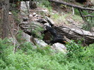 photo thumbnail #14