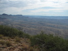 photo thumbnail #3