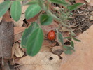 photo thumbnail #2