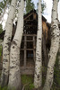 photo thumbnail #12
