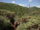 photo thumbnail #5