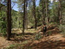 photo thumbnail #8