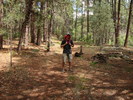 photo thumbnail #9